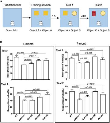 Ceftriaxone Suppresses Group II Metabotropic Glutamate Receptor Expression Contributing to Reversal of Recognition Memory Deficits of Amyloid Precursor Protein/Presenilin 1 AD Mice